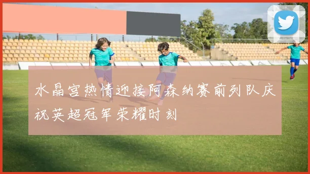 水晶宫热情迎接阿森纳赛前列队庆祝英超冠军荣耀时刻